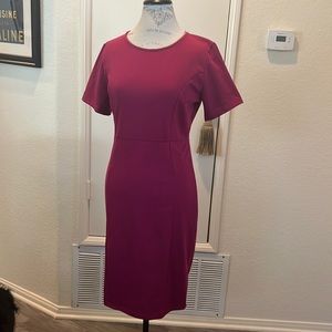 Fuchsia sheath dress size Large